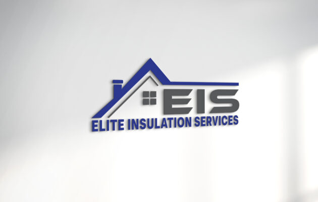 EIS logo mockup